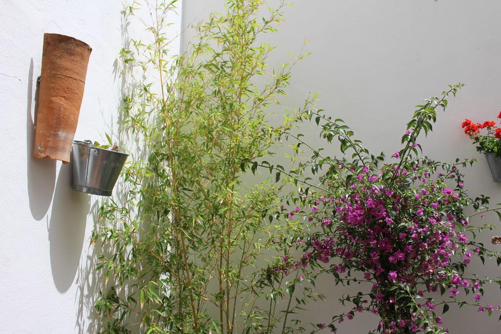Room Tarifa Exteriör bild